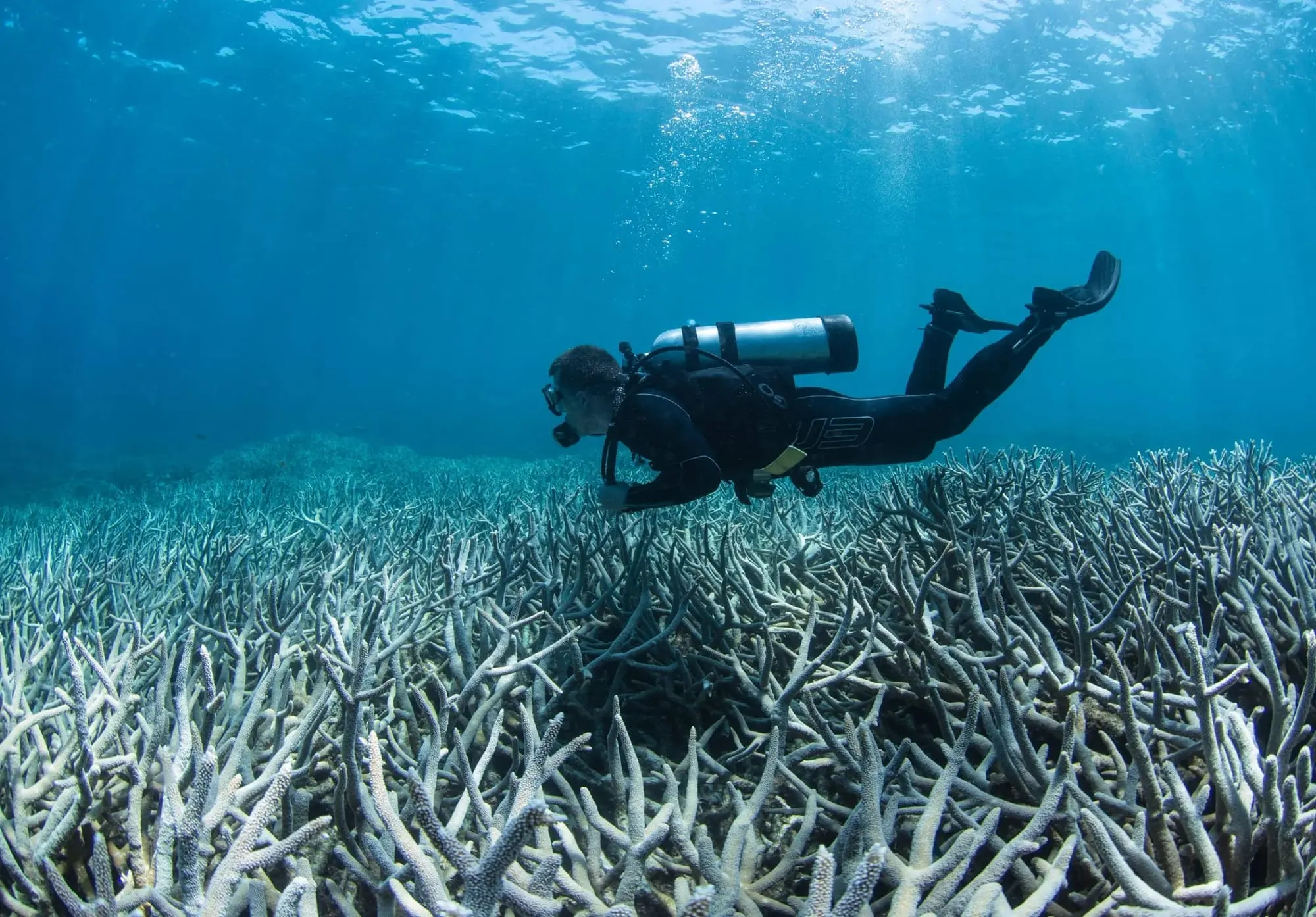 A scuba diver explores an underwater scene with sunlight streaming through the water onto bleached corals.