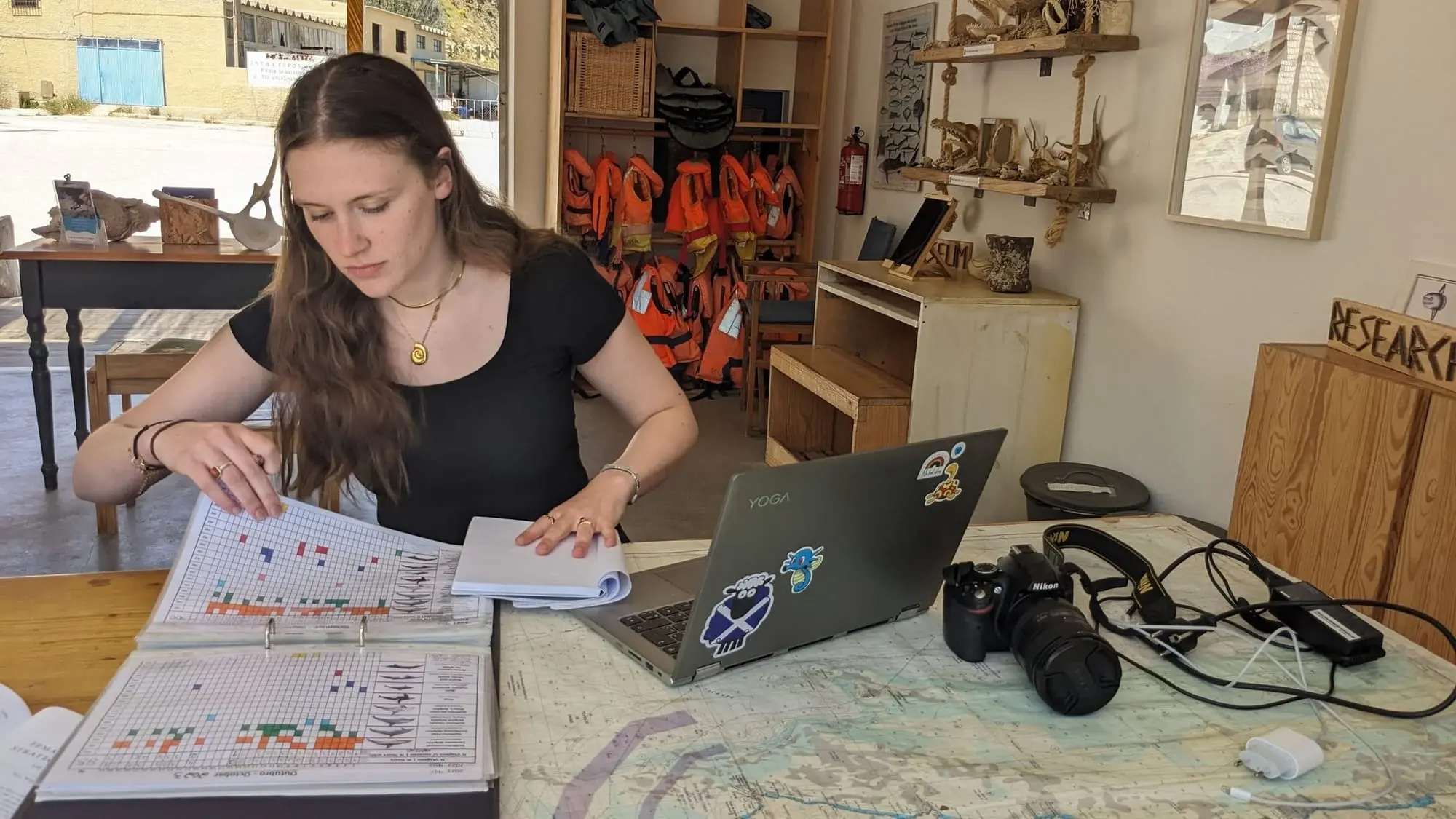 A REEF Scuba volunteer identifying individual whales from field photos on a laptop.