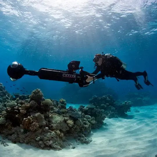 Reef Technology