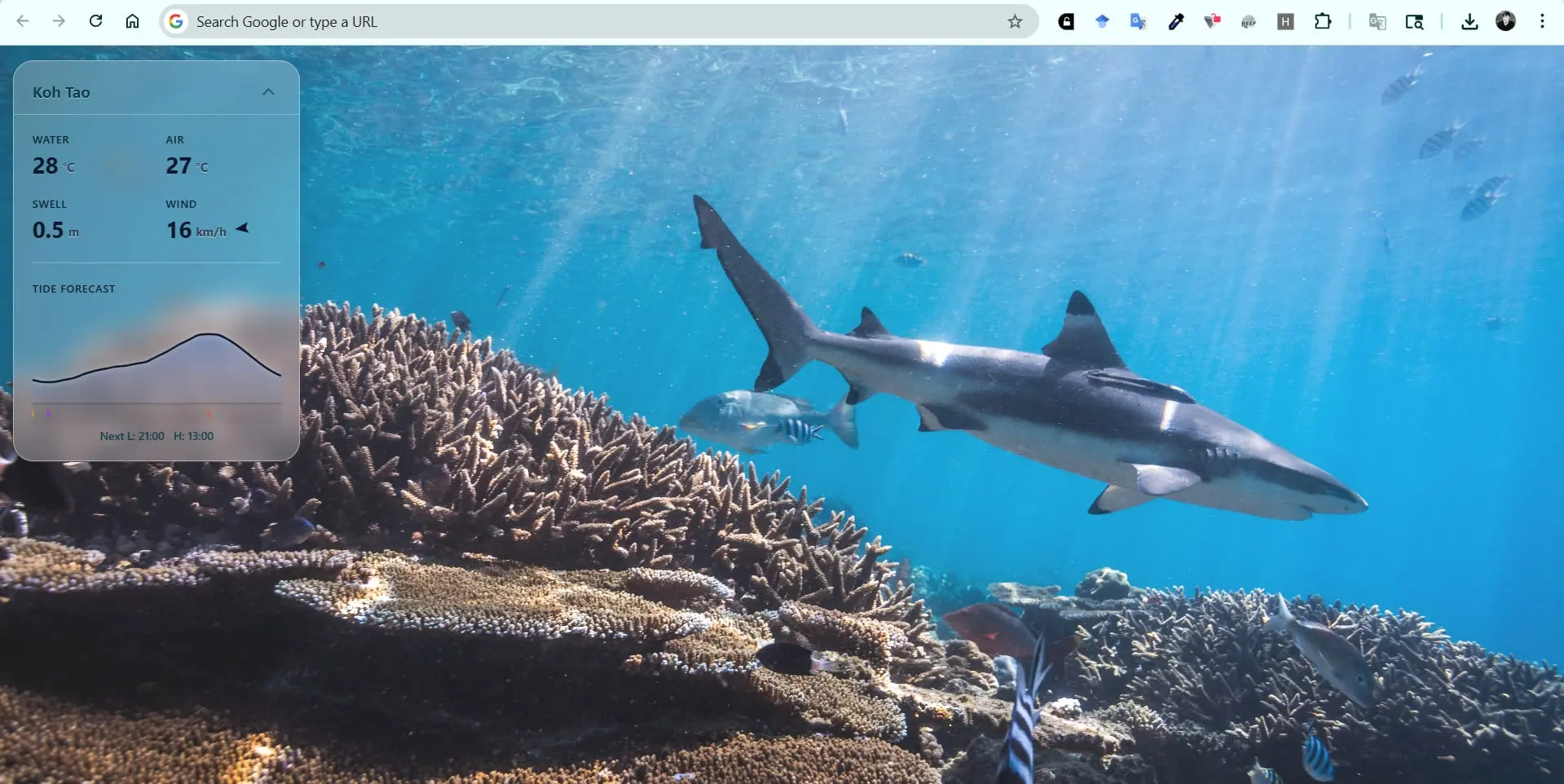 OceanView Tab: a new browser tab showing an ocean photo and a live ocean-weather widget.