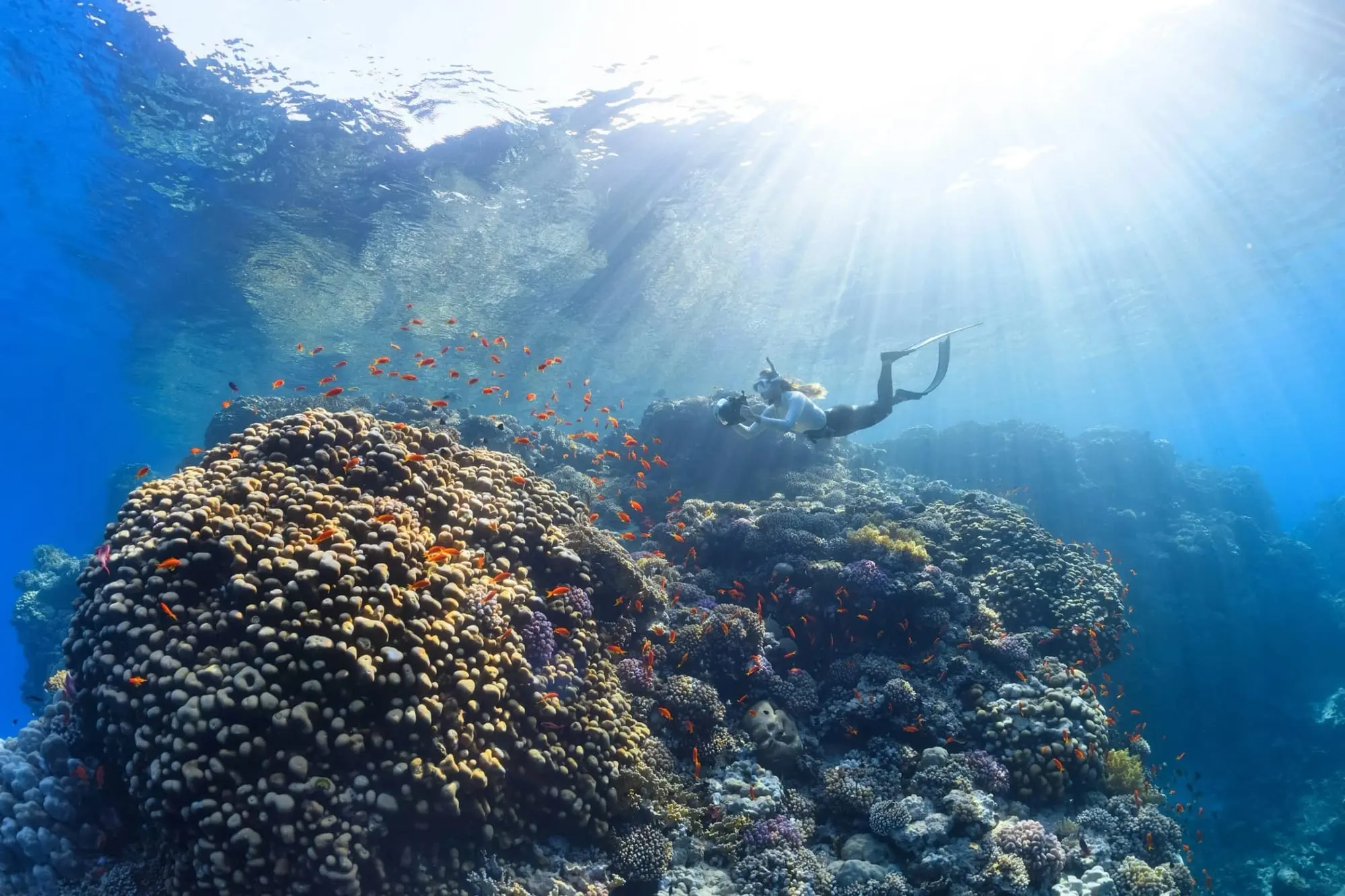 A diver swims near a vibrant coral reef under sunlight rays, surrounded by a swarm of small orange fish in clear blue waters.