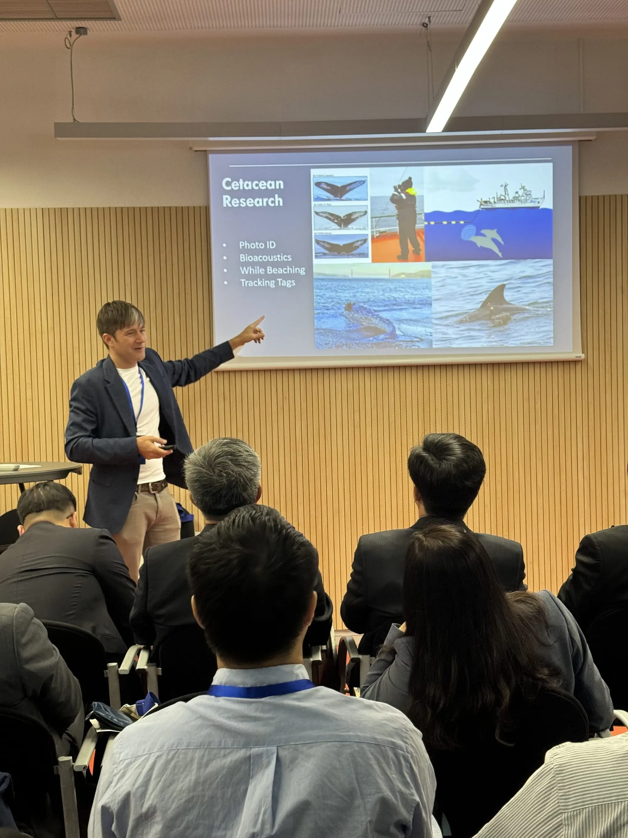 A REEF Scuba presentation on cetacean research at a conference.