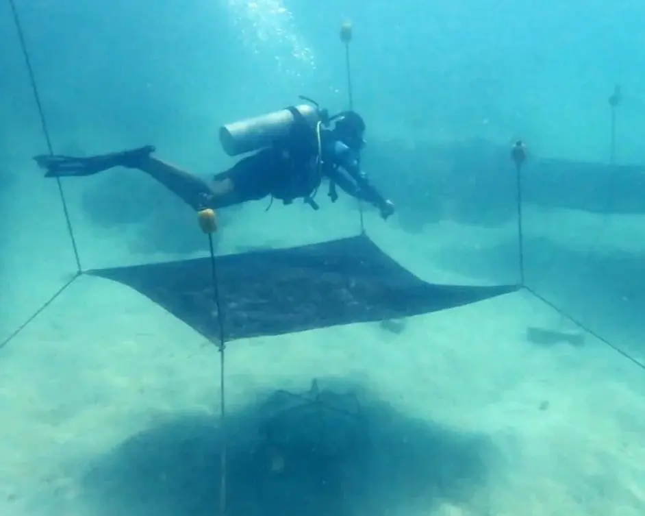A diver beside a shade cloth suspended over corals during an in-water experiment.